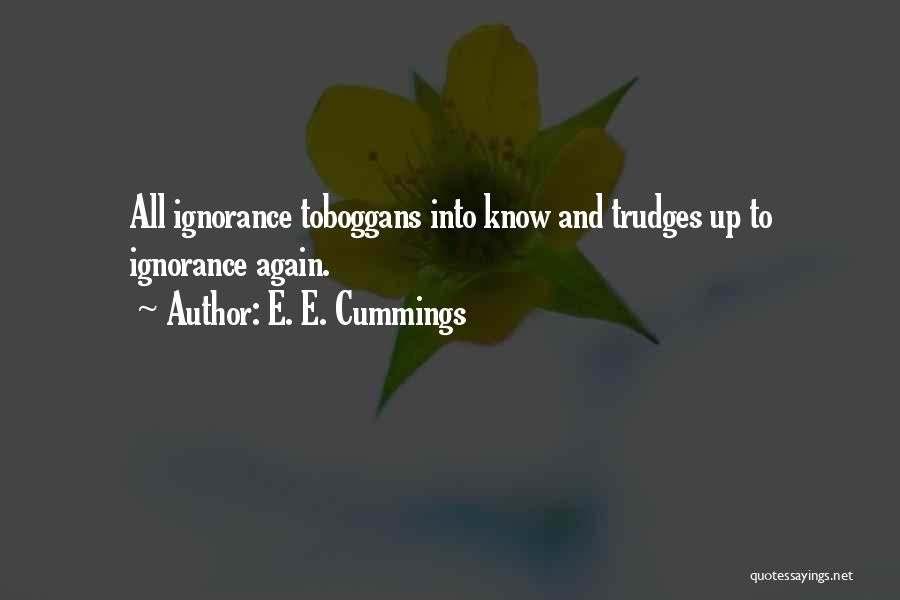 E. E. Cummings Quotes 1477145