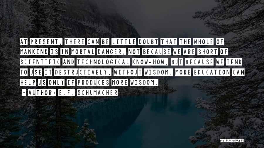 E.F. Schumacher Quotes 1052620