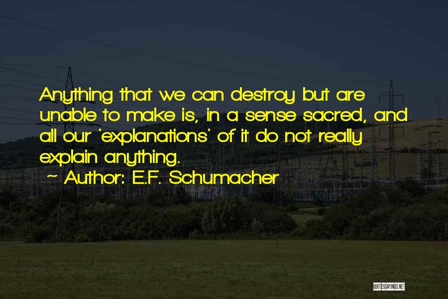 E.F. Schumacher Quotes 1083371