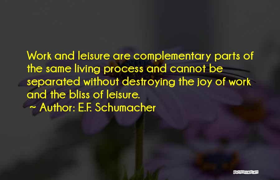 E.F. Schumacher Quotes 1130809