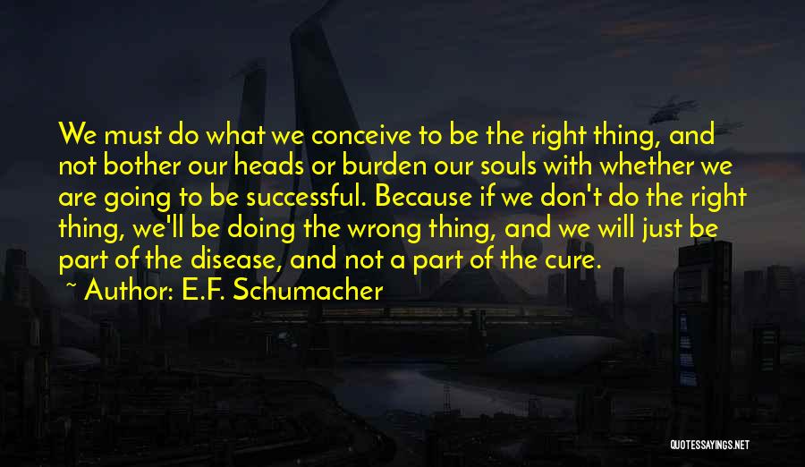 E.F. Schumacher Quotes 1193631