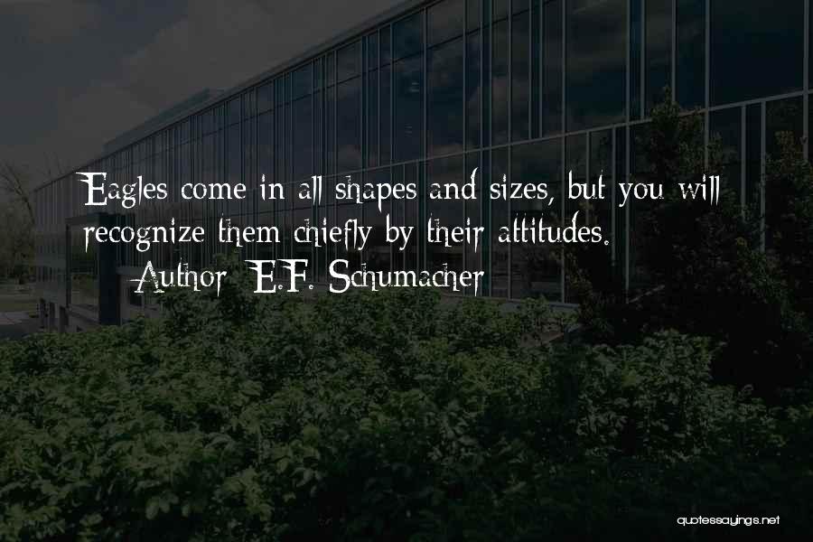 E.F. Schumacher Quotes 1202552