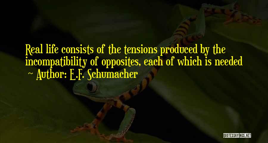 E.F. Schumacher Quotes 1250655