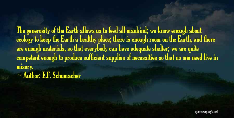 E.F. Schumacher Quotes 1306173