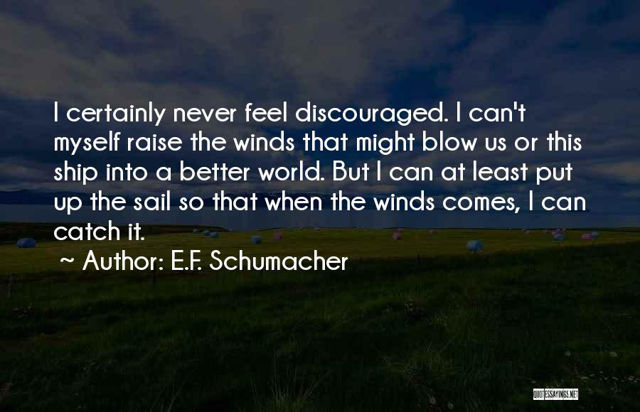 E.F. Schumacher Quotes 1412098