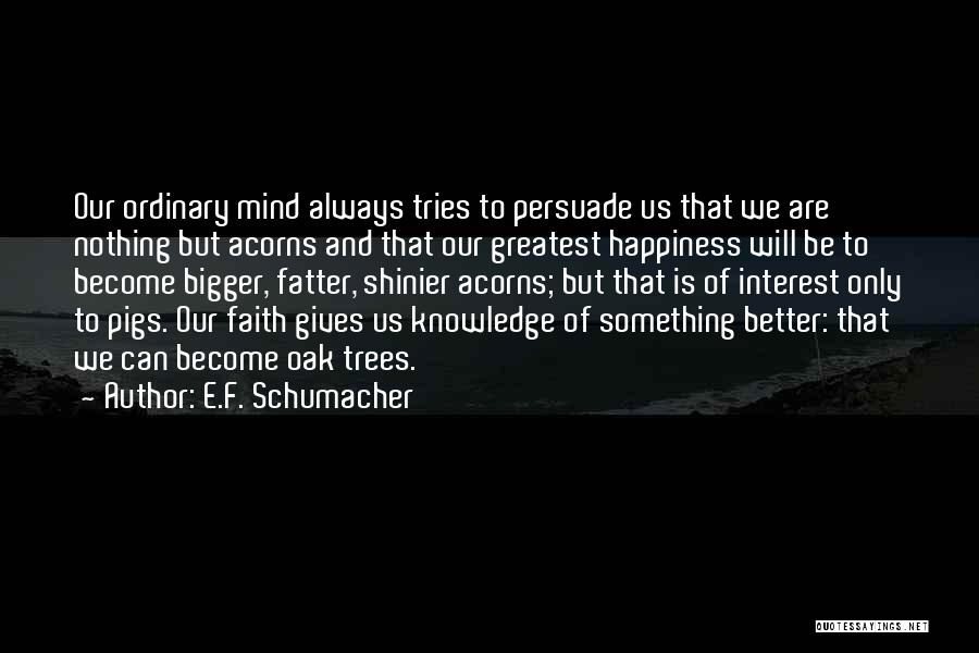 E.F. Schumacher Quotes 1707246