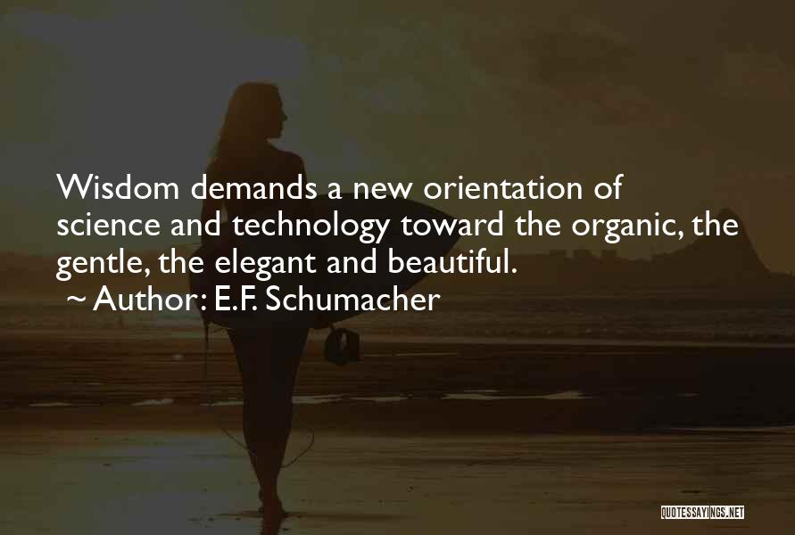 E.F. Schumacher Quotes 2135006