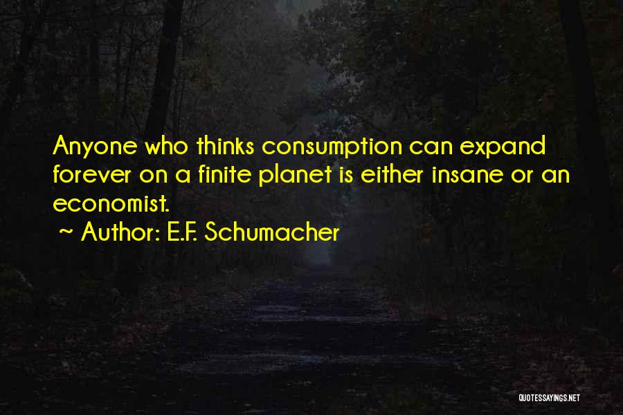 E.F. Schumacher Quotes 586101