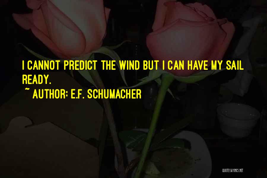 E.F. Schumacher Quotes 801547