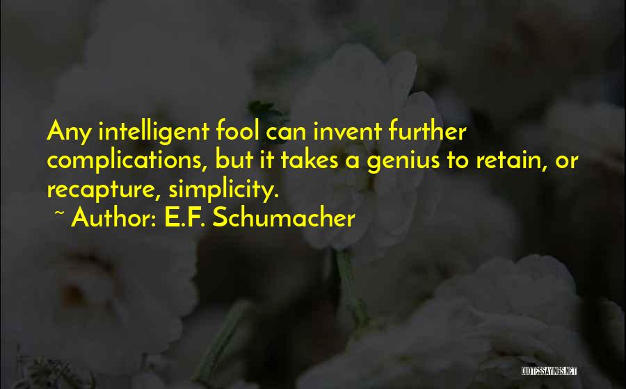 E.F. Schumacher Quotes 821679