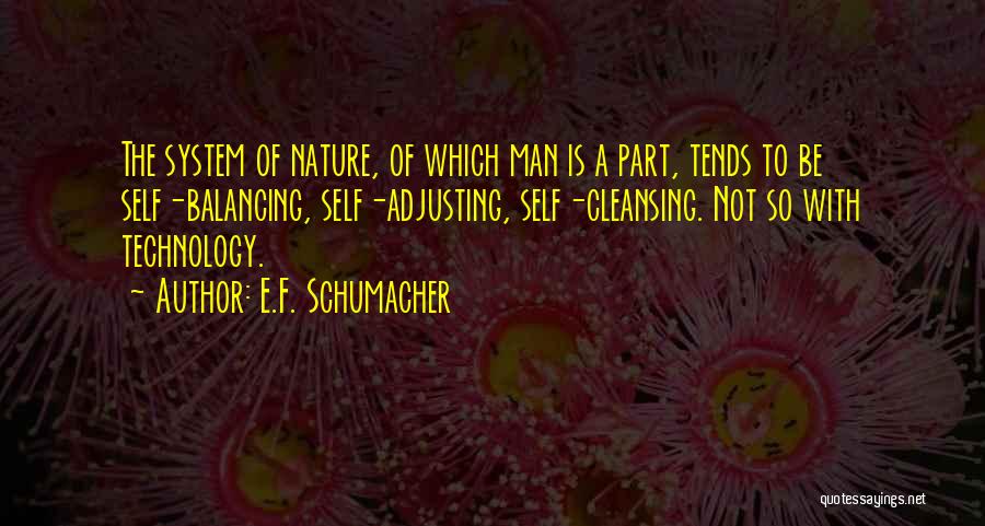 E.F. Schumacher Quotes 877427