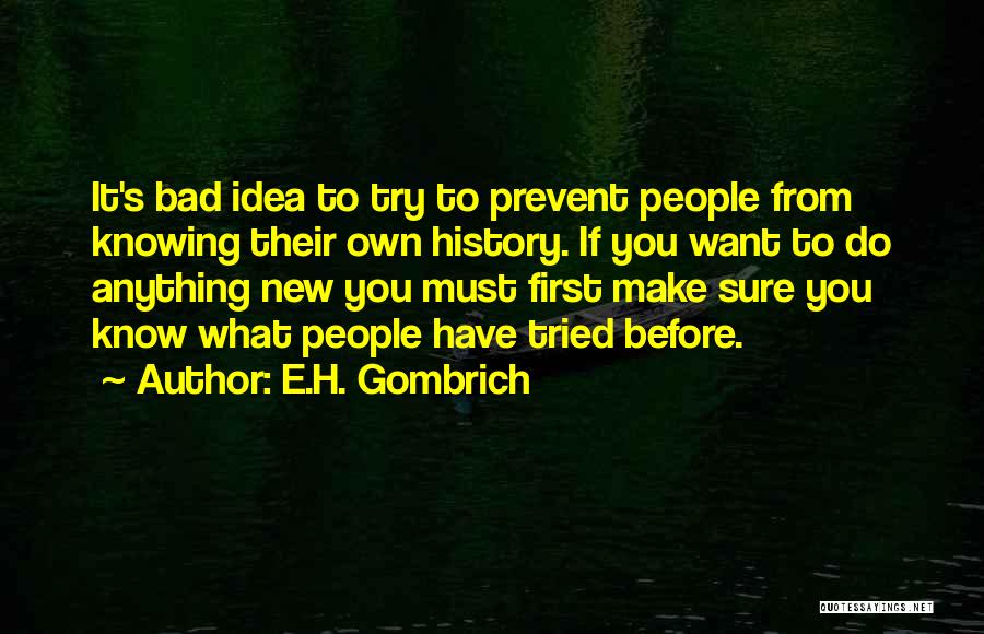E.H. Gombrich Quotes 1791464