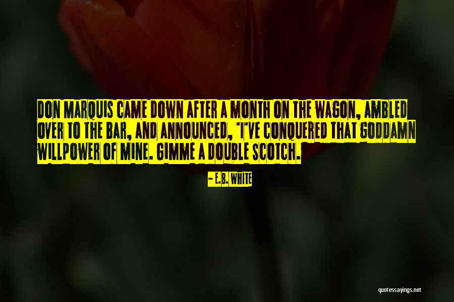 E I B Quotes By E.B. White E I B Quotes By E.B. White