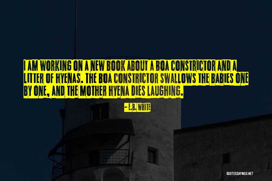 E I B Quotes By E.B. White E I B Quotes By E.B. White