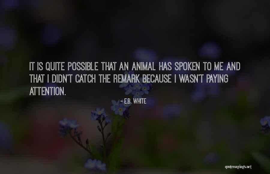 E I B Quotes By E.B. White E I B Quotes By E.B. White