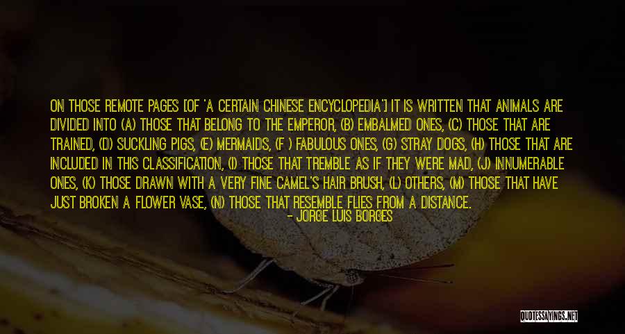 E I N Quotes By Jorge Luis Borges E I N Quotes By Jorge Luis Borges
