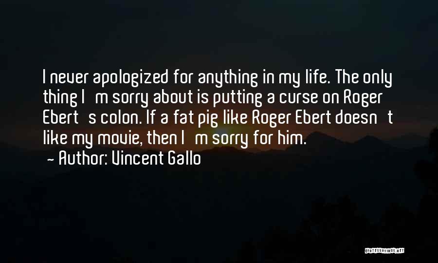 E J Gallo Quotes By Vincent Gallo