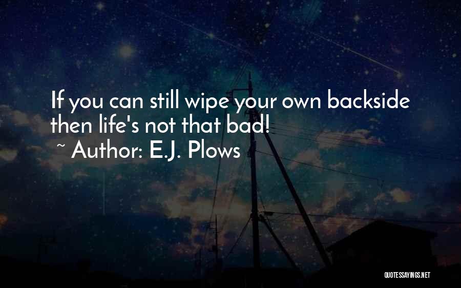 E.J. Plows Quotes 280221