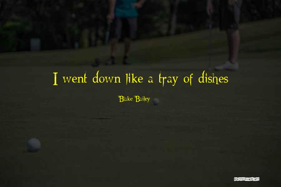 E.k. Bailey Quotes By Blake Bailey E.k. Bailey Quotes By Blake Bailey