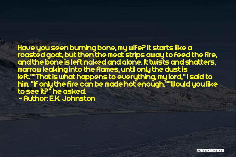 E.K. Johnston Quotes 244518