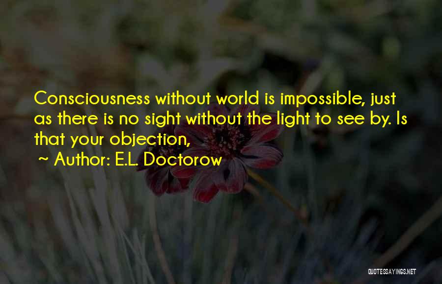 E.L. Doctorow Quotes 1334960