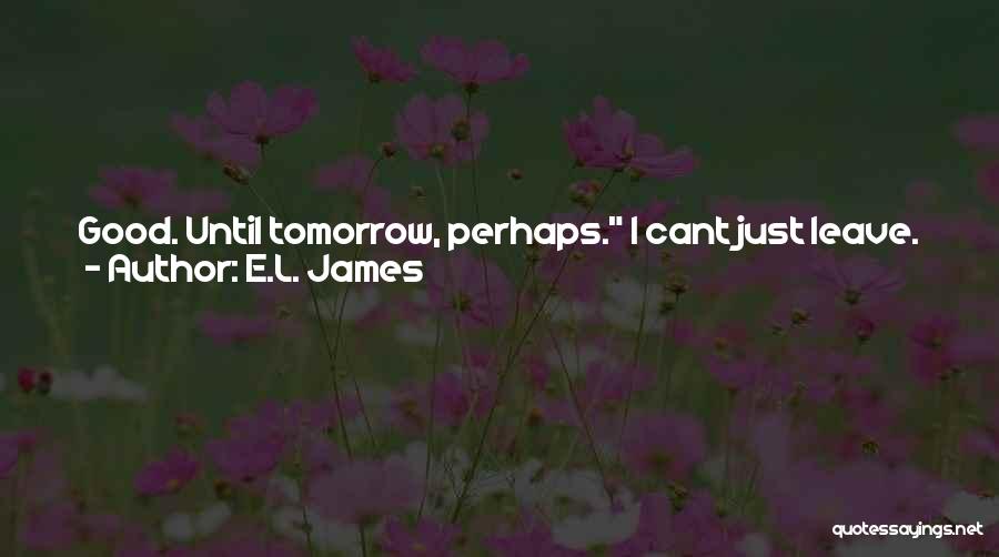 E.L. James Quotes 1330983