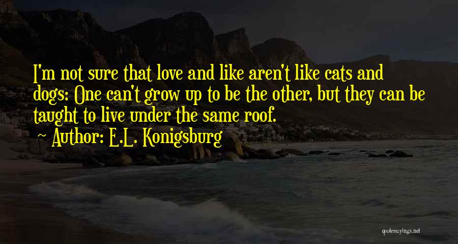 E.L. Konigsburg Quotes 277489