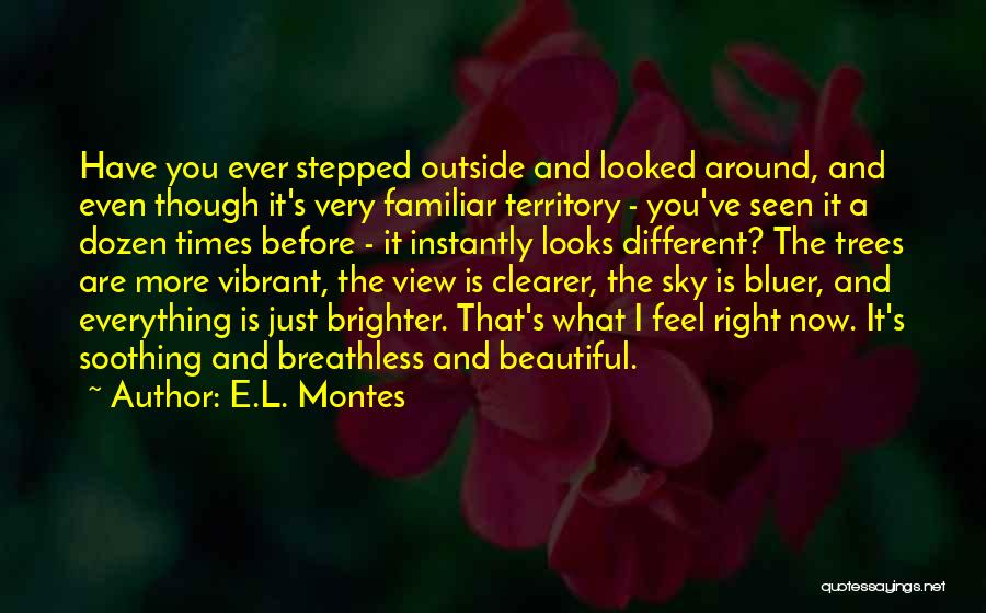 E.L. Montes Quotes 1969968