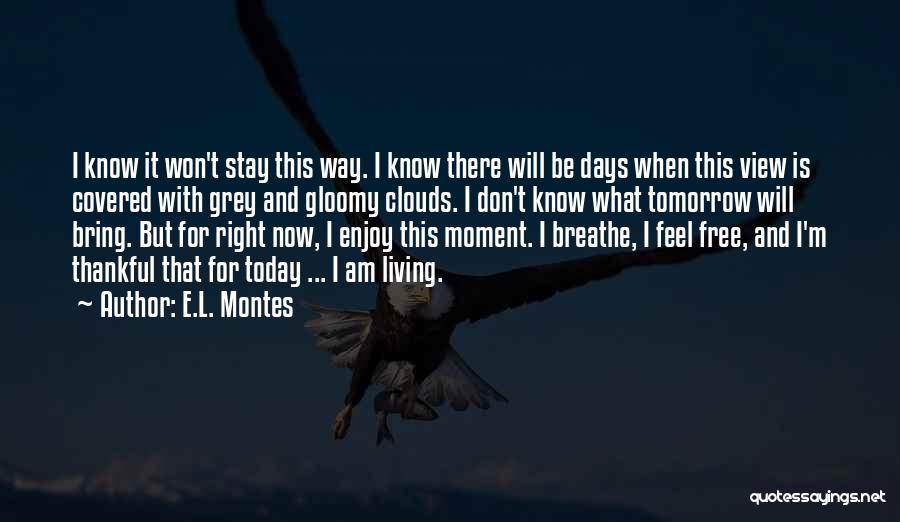 E.L. Montes Quotes 744045