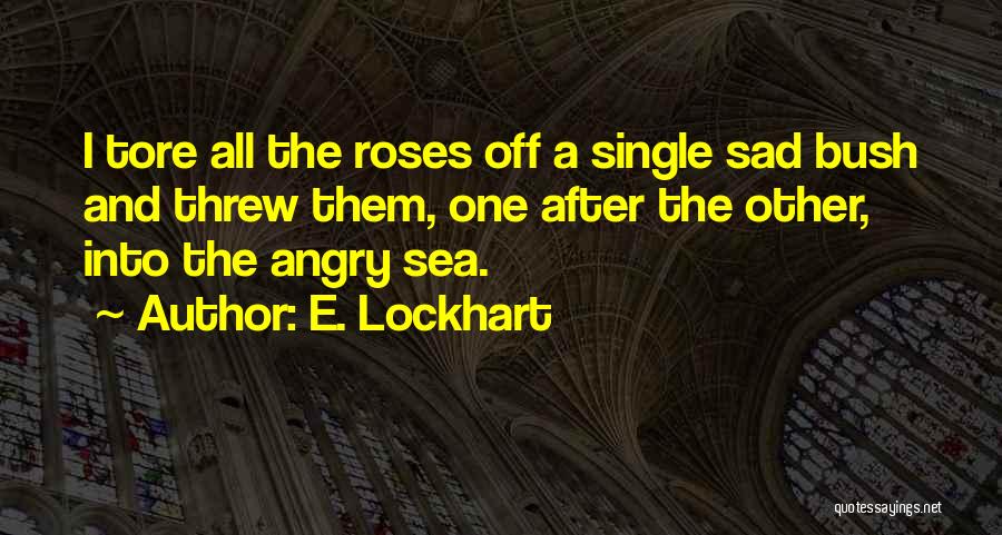 E. Lockhart Quotes 747102