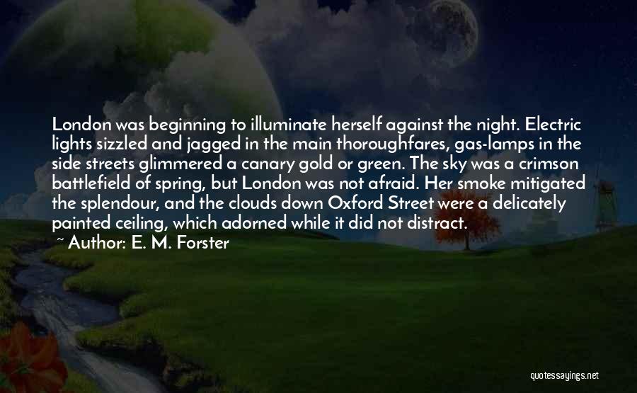 E. M. Forster Quotes 316507