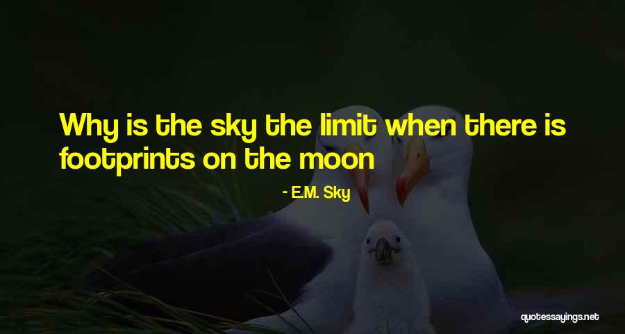 E.M. Sky Quotes 1397228