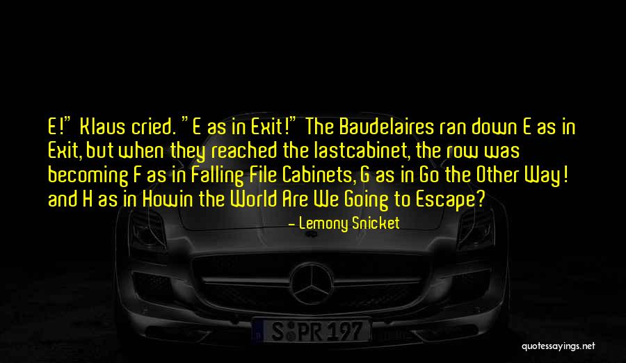 E-marketing Quotes By Lemony Snicket