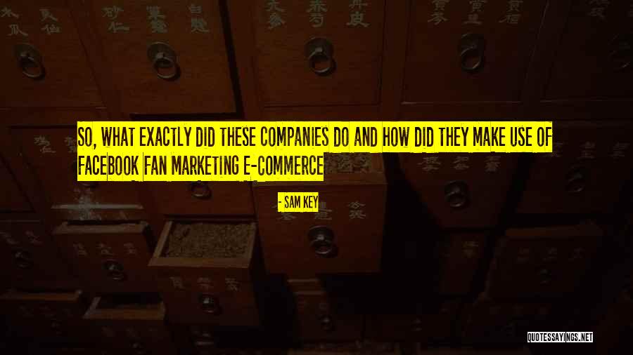 E-marketing Quotes By Sam Key