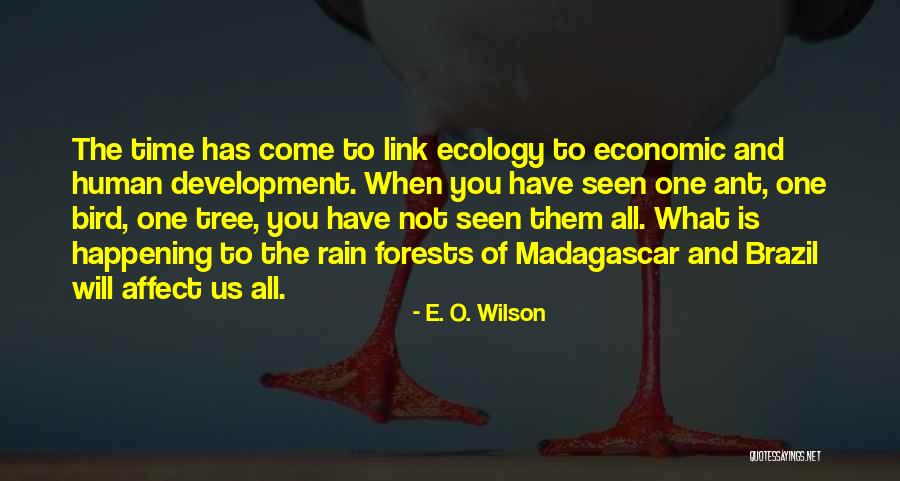 E O Wilson Ant Quotes By E. O. Wilson E O Wilson Ant Quotes By E. O. Wilson