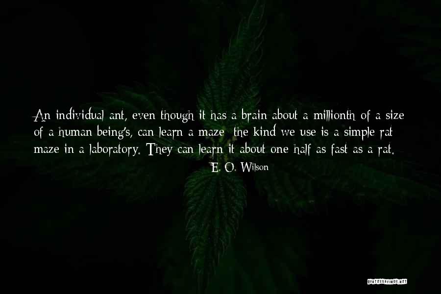 E O Wilson Ant Quotes By E. O. Wilson E O Wilson Ant Quotes By E. O. Wilson