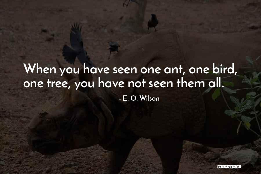 E O Wilson Ant Quotes By E. O. Wilson E O Wilson Ant Quotes By E. O. Wilson