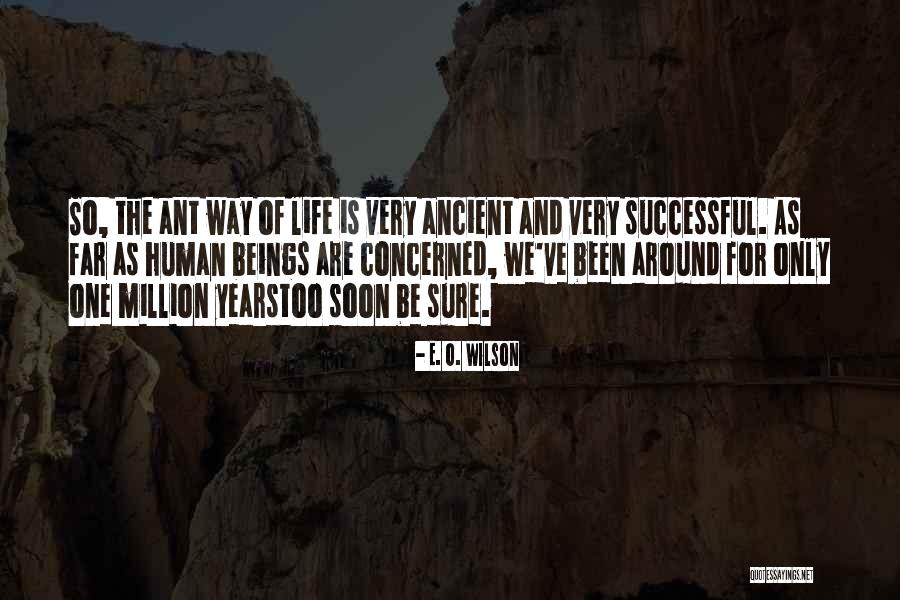 E O Wilson Ant Quotes By E. O. Wilson E O Wilson Ant Quotes By E. O. Wilson