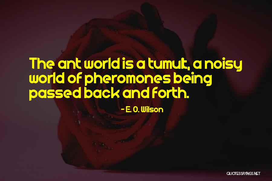 E O Wilson Ant Quotes By E. O. Wilson E O Wilson Ant Quotes By E. O. Wilson