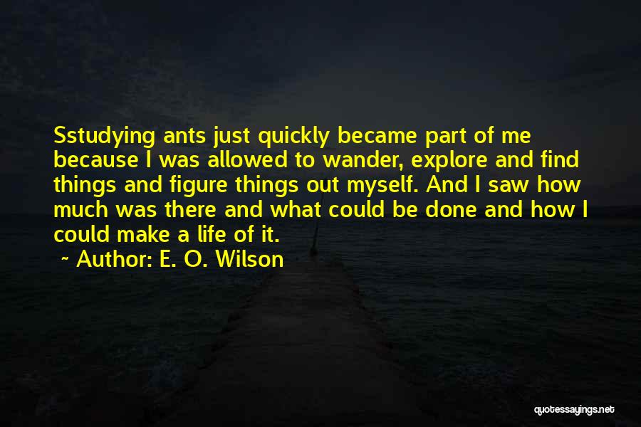 E. O. Wilson Quotes 1114772