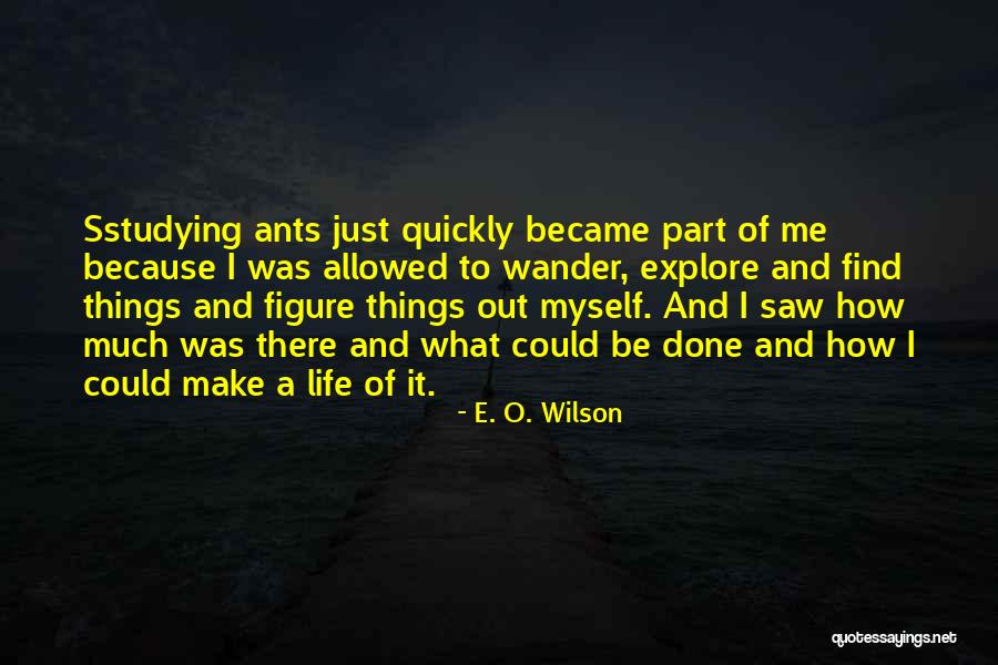 E. O. Wilson Quotes 1114772