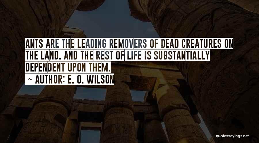 E. O. Wilson Quotes 1936761