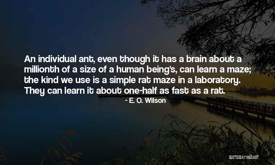 E. O. Wilson Quotes 1951537