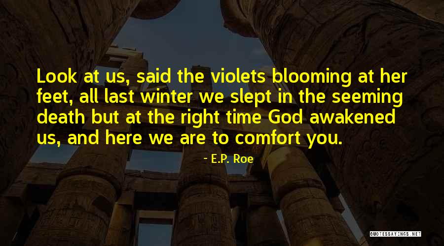 E.P. Roe Quotes 710427 E.P. Roe Quotes 710427