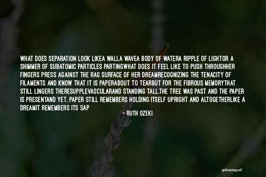 E Reader Tablets Quotes By Ruth Ozeki E Reader Tablets Quotes By Ruth Ozeki