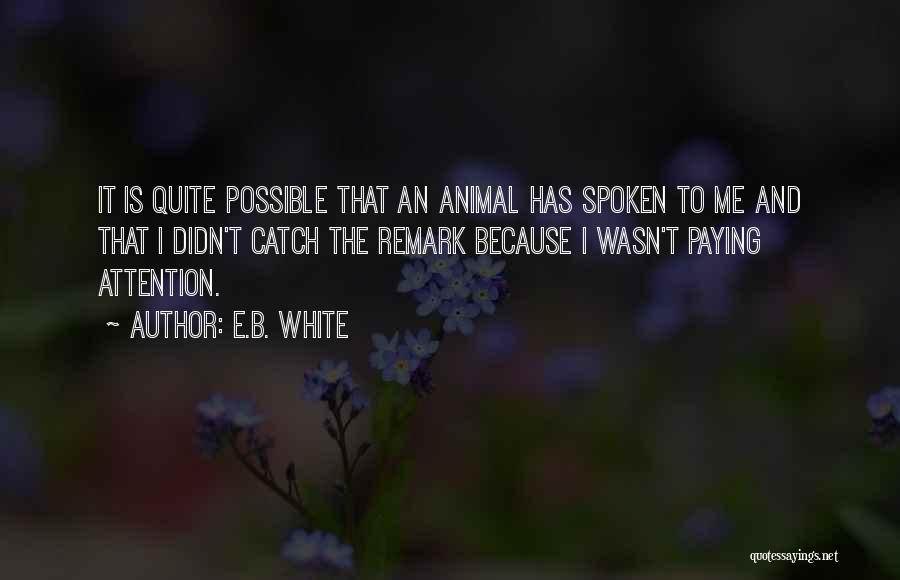 E. Remark Quotes By E.B. White