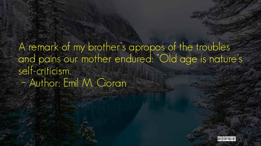 E. Remark Quotes By Emil M. Cioran