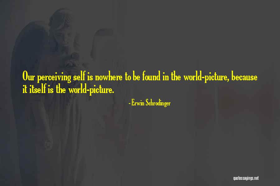 E Schrodinger Quotes By Erwin Schrodinger E Schrodinger Quotes By Erwin Schrodinger