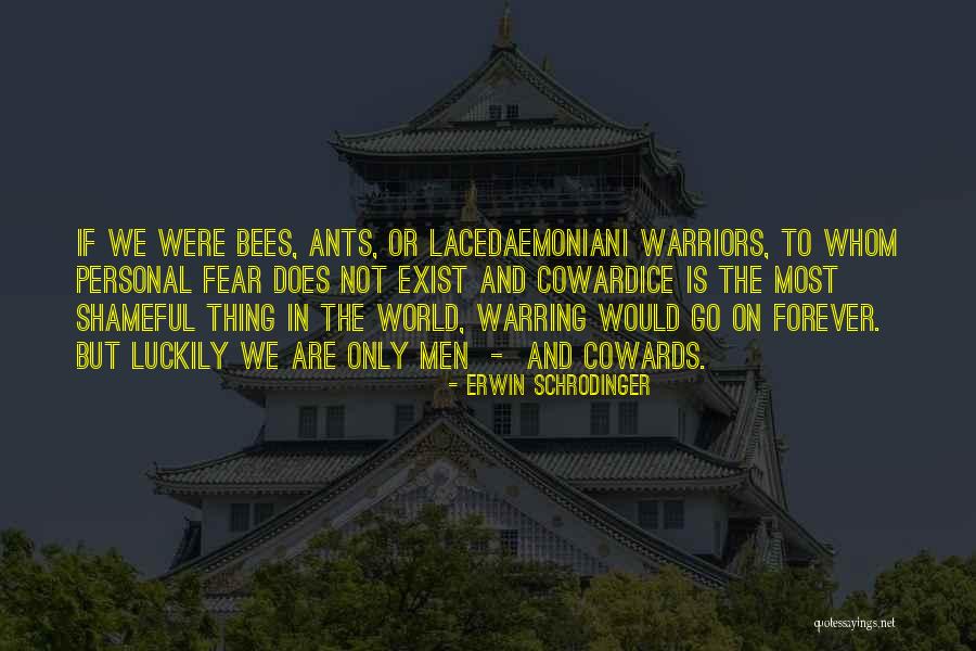 E Schrodinger Quotes By Erwin Schrodinger E Schrodinger Quotes By Erwin Schrodinger