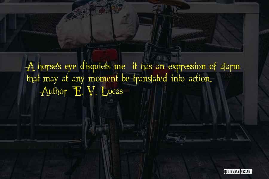 E. V. Lucas Quotes 135817